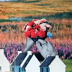 Ripened,  Rotten (verbo demo)