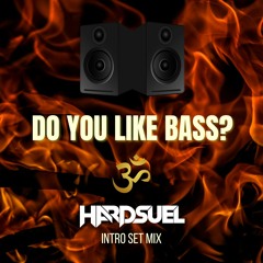 Do You Like Bass - HARDSUEL Intro Set Mix (TikTok Viral)