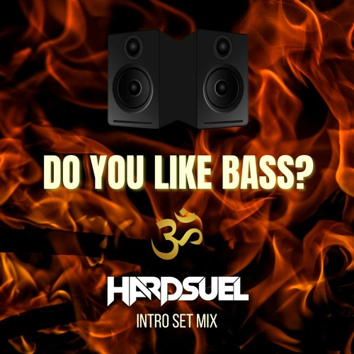 Stream Do You Like Bass - HARDSUEL Intro Set Mix (TikTok Viral) by HARDSUEL  | Listen online for free on SoundCloud