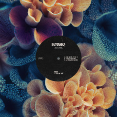 PREMIERE: KOKO - La Speranza Muore