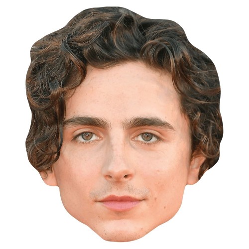 Timothee Chalamet