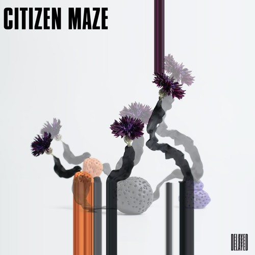 Delayed with... Citizen Maze