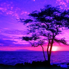Purple Sunset 01