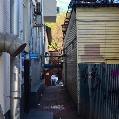 Люди - Деревья