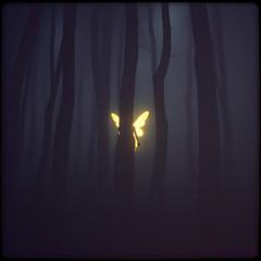 Vigil's End