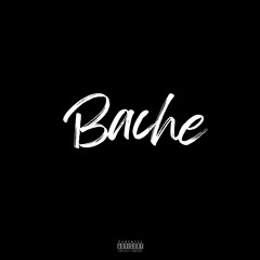 Bache