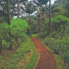 12.11.2021  - Cap. VII - Bem Aventurados os Pobres de Espírito - O Orgulho e a Humildade (7)