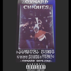 Lyrical Bums-quick 2 make da dash