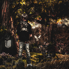 Attack of titans (Boris Redwall Remix)