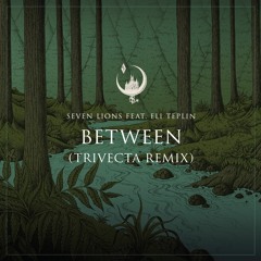 Seven Lions feat. Eli Teplin - Between (Trivecta Remix)