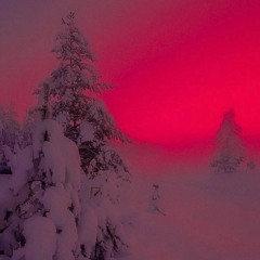 tryna luv w/ hatecupids (p. jorko)