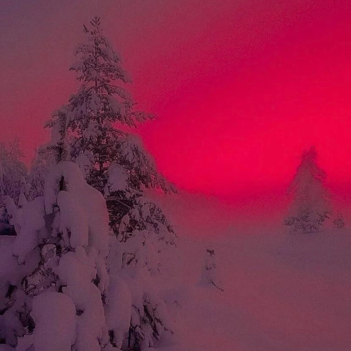 tryna luv w/ hatecupids (p. jorko)