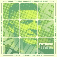 Daniel Nozz - These Walls - Radio Edit