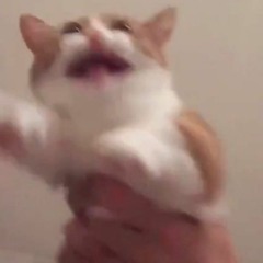 NICKELBACK ROCKSTAR DUBSTEP REMIX.mp3