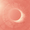 Dane @ Tycho Sunrise on the Axolotl - Burning Man 2025 - Blissgasm DJ mix artwork - Electronic music tracklist cover image