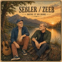Artwork for Bring It On Home by Seßler/Zeeb