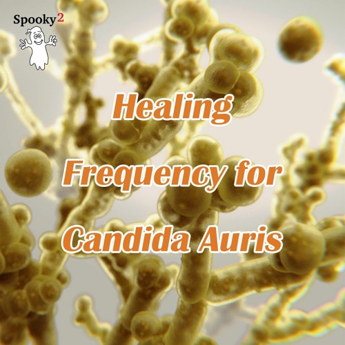 Healing Frequency for Candida Auris - Spooky2 Rife Frequency Healing