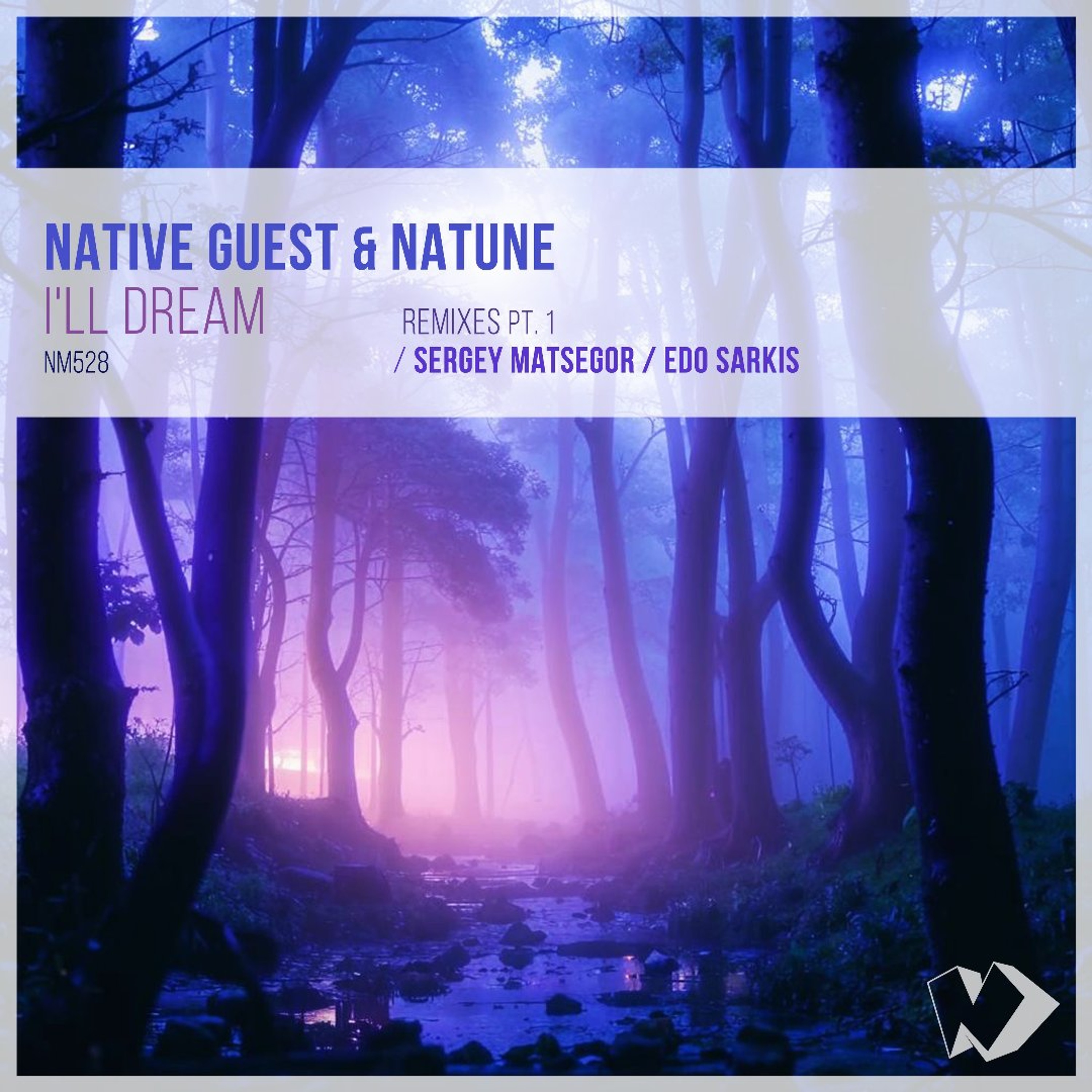 Native Guest & Natune - I'll Dream (Edo Sarkis Remix) episode artwork