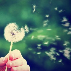 Don't know what to say...