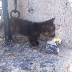 #GÖZLERİN ÇOK GÜZEL