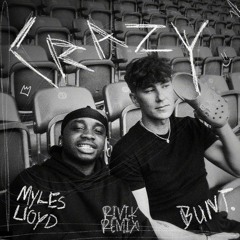 Myles Lloyd & BUNT. - Crazy (RIVIK Remix)