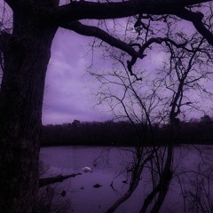 Untitled 2021