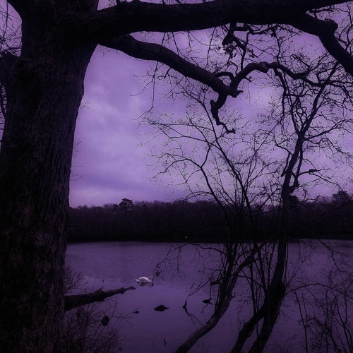 Untitled 2021