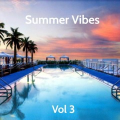Summer Vibes Chillout Mix Vol 3 | Chill, Tropical, & Relaxing House | 35 Minute Mix