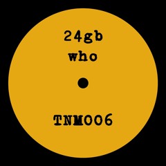 24gb