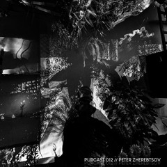 PURCAST 012 // Peter Zherebtsov