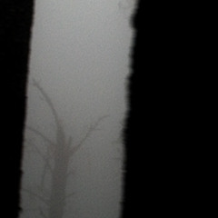 Drop Dead (Prod. Neverforever)