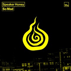 SO MAD - Speaker Honey (Original Mix)