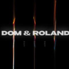 Dom & Rizzle My Nizzle or Dom & Reezy Fo' Sheezy: A Dom & Roland Tribute Pt.1
