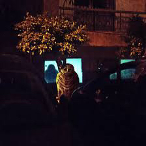 Cry of Fear (Prod. owleend x narxi)