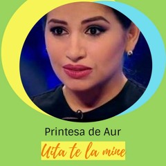 Printesa De Aur - Uita-Te La Mine (Sa-nceapa Piesa, Sa Cante Printesa) (DJ Edward Redrum)
