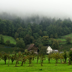 Odenwald Waltz