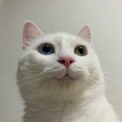 미노이(MEENOI) _ 너답기기안(NDGGA) cover