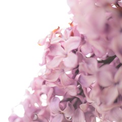 Unconditional Love Meditation