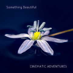 Something Beautiful