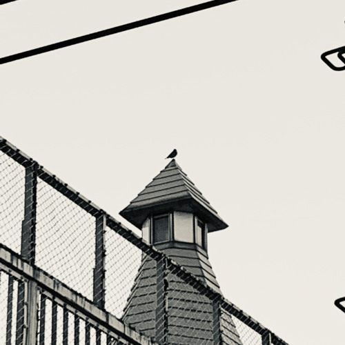 Stream Ladyfingers (English version) by Vũ Văn Vở Listen online for