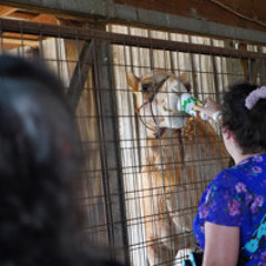 Split Personoddities  Jason Failing/Gary Schreib