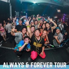 Always & Forever V12:  Tour Set - Milkado 🧋
