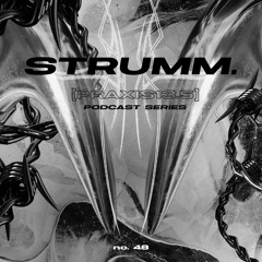 STRUMM. Praxis13.5 #48
