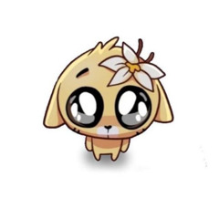 blanket