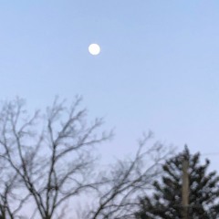 Moo - Hair (Reprise)