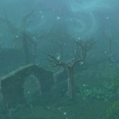 Fog