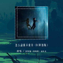 DJ阿智,DJ阿布,金队长 - 怎么说我不爱你 (DJ阿智版)「我要怎么说我不爱你 我要怎么做才能死心」【動態歌詞/pīn yīn gē cí】#DJ阿智 #DJ阿布 #金队长 #動態歌詞