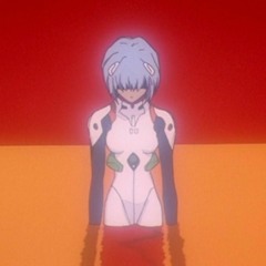 Evangelion-angry kittens-gym edit