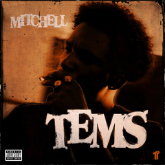 Mitchell - Tems (OFFICIAL AUDIO)