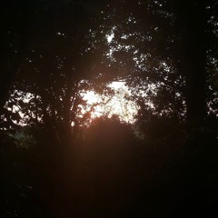 InTheDark